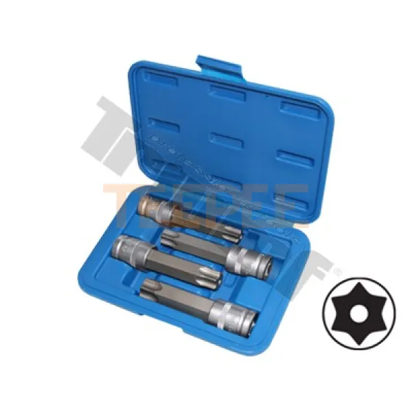 TRIUMF sada bitov T-profil v 1/2" hlavici, 4 - dielna