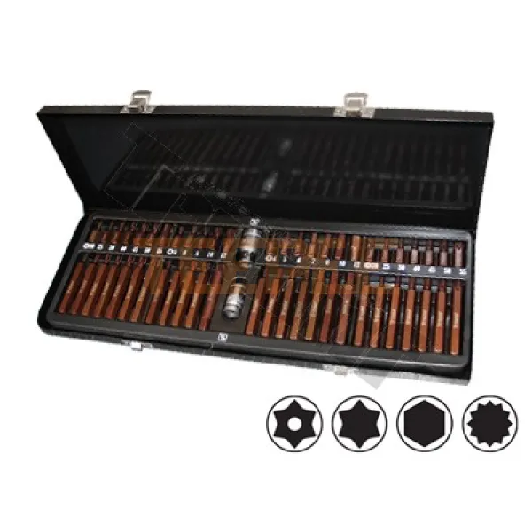 TRIUMF sada bitov inbus, torx, XZN 54-dielna S2 pomedené prevedenie