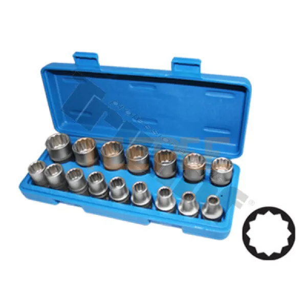 TRIUMF sada hlavíc 12-hranných, 1/2" vstup, 16 - dielna