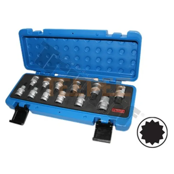 TRIUMF sada 1/2" nadstavcov na koľajnici,12dielna