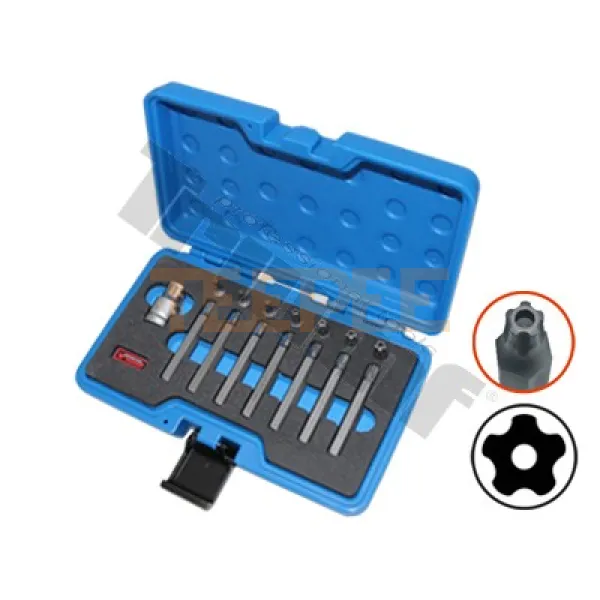 TRIUMF  sada bitov Torx 5-cípy vŕtaný, 10 mm driek, 15-dielna s adaptérom