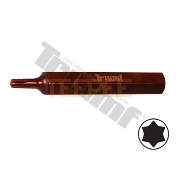 TRIUMF bit Torx nevŕtaný, 10 mm driek, dĺžka 75 mm