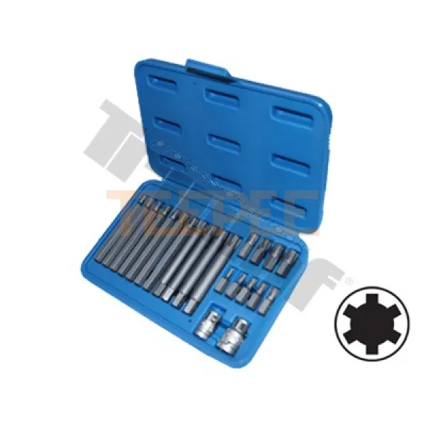 TRIUMF SADA RIBE BITOV S BITOM M10,3 VW HLAVY BENZÍN A M11 RENAULT REMENICE, 22 - DIELNA