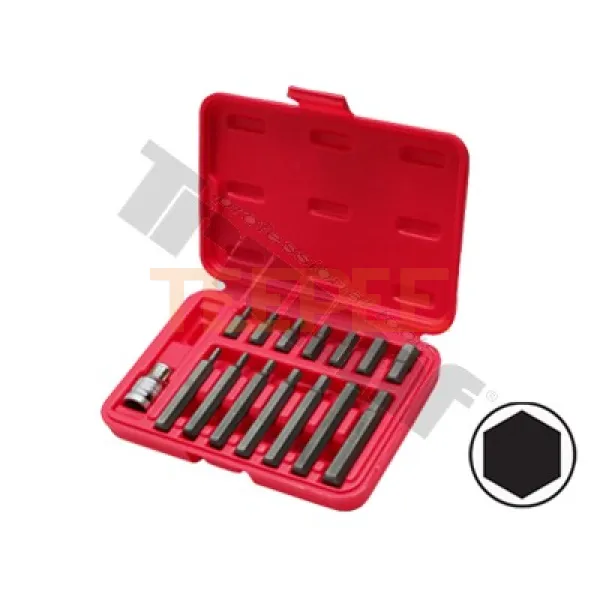 TRIUMF sada bitov Inbus, 15-dielna