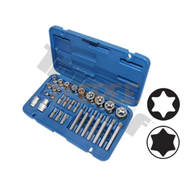 TRIUMF sada bitov a hlavíc pre E-profil a Torx, 30-dielna