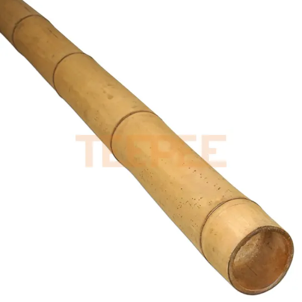 Bambusová tyč Guadua Ø 7-9 cm