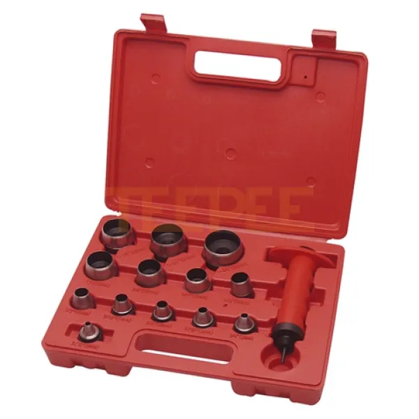 FESTA sada výsečníkov