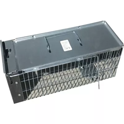 Pasca klietka T104